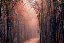 欧联-霍伊伦梅开二度加纳乔破门 曼联3-2胜.