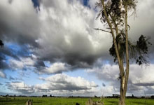 欧联-霍伊伦梅开二度加纳乔破门 曼联3-2胜.