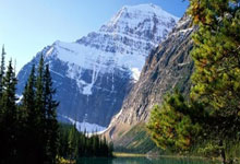 费内巴切土杯遭争议判罚 穆里尼奥怒捏对方教练鼻子.